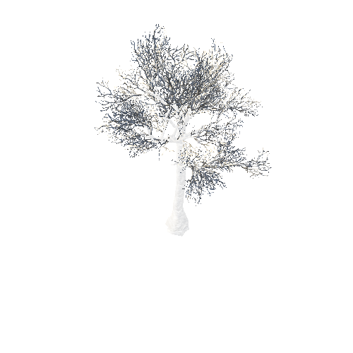 BeecthTree01WinterB_afsTREE_xmvcb _xlod02_xlp